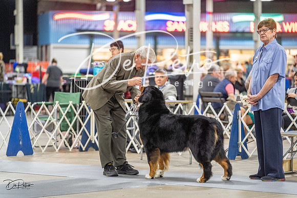 20230825-DSC03248