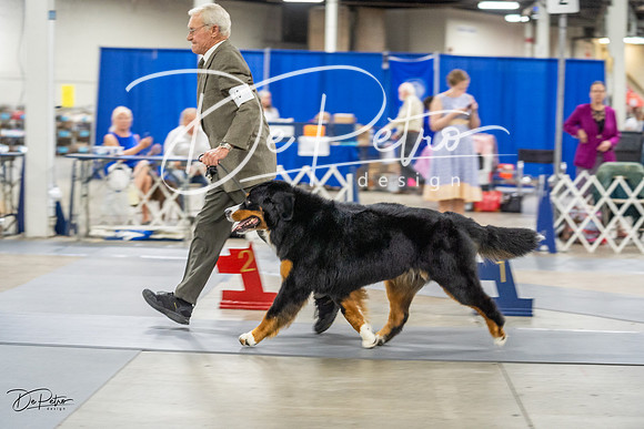 20230825-DSC03267