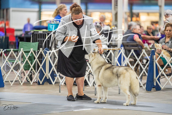 20230825-DSC03277