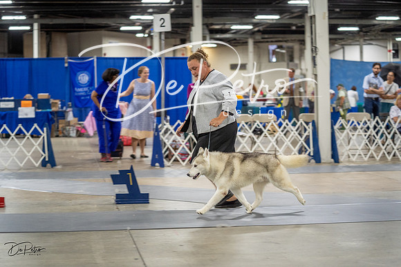 20230825-DSC03300