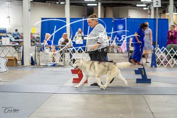 20230825-DSC03306