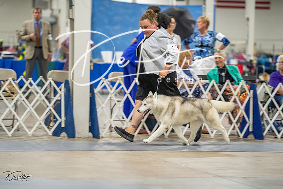 20230825-DSC03313