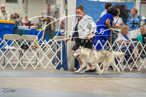20230825-DSC03315