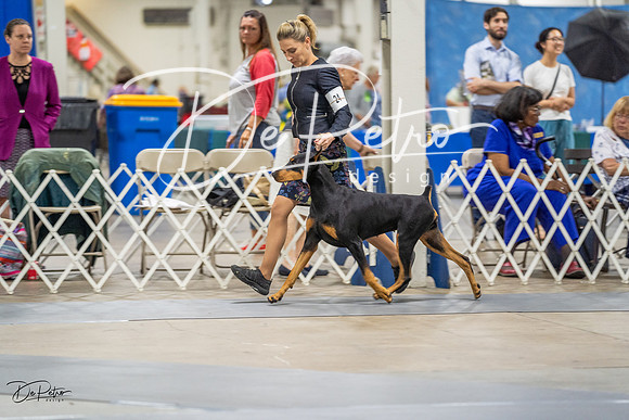 20230825-DSC03363