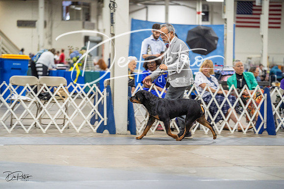 20230825-DSC03400