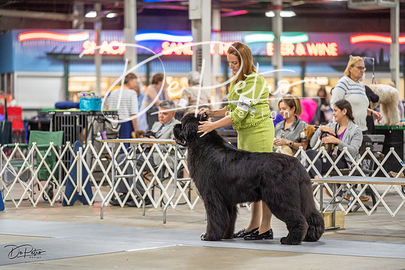 20230825-DSC03410