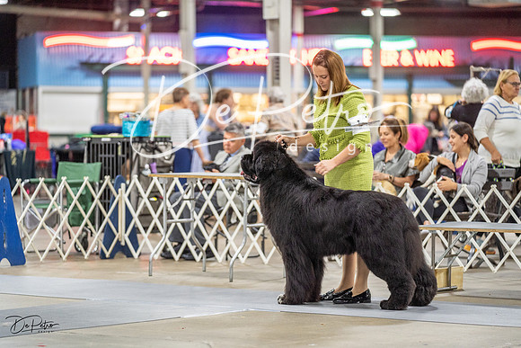 20230825-DSC03413