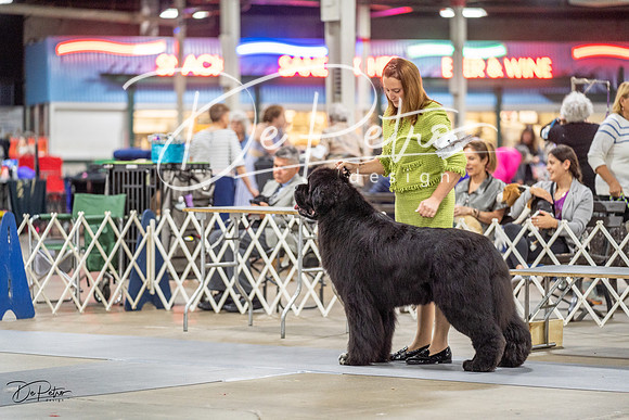 20230825-DSC03414