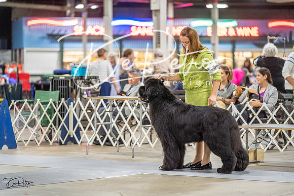20230825-DSC03415