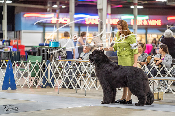 20230825-DSC03416