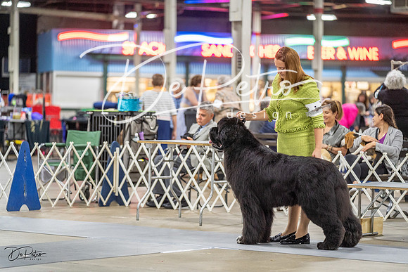 20230825-DSC03417