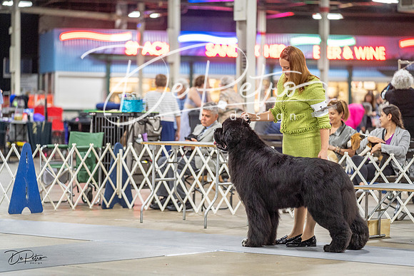 20230825-DSC03418