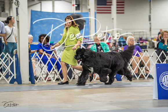 20230825-DSC03441