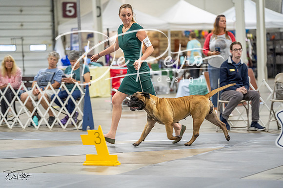 20230825-DSC03476