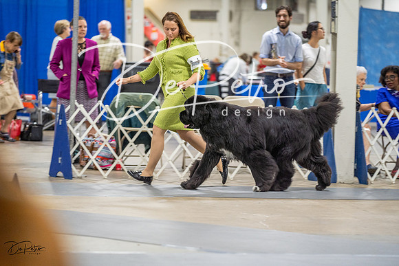 20230825-DSC03452