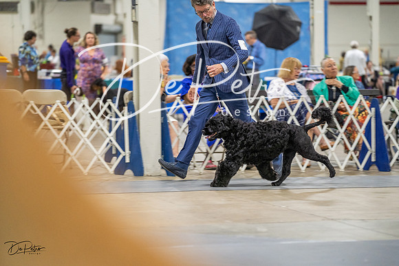20230825-DSC03515