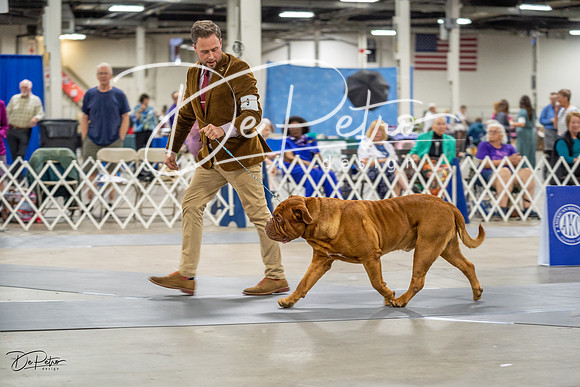 20230825-DSC03523