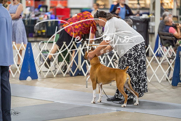20230825-DSC03536