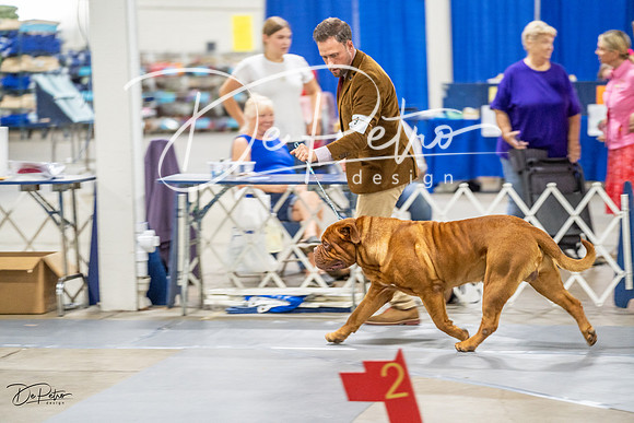 20230825-DSC03544