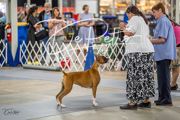 20230825-DSC03584