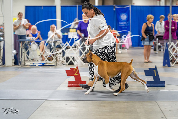 20230825-DSC03580