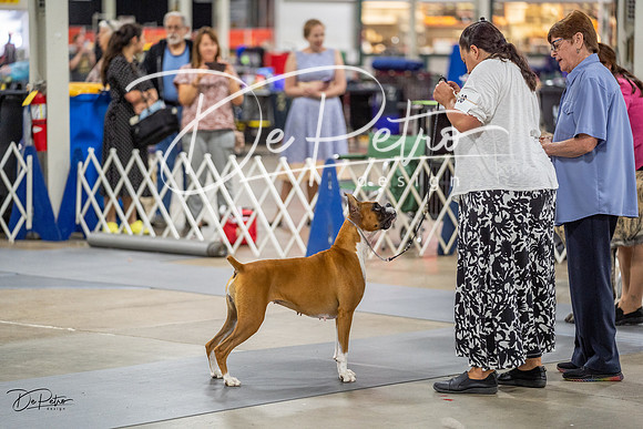 20230825-DSC03585