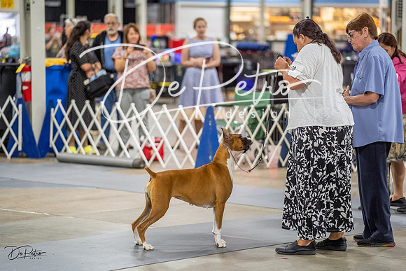 20230825-DSC03587