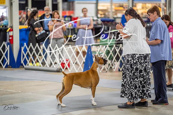 20230825-DSC03588