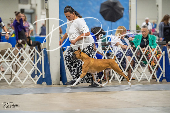 20230825-DSC03594