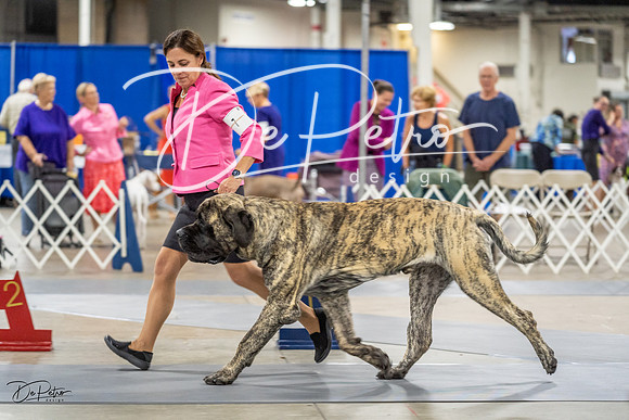 20230825-DSC03608