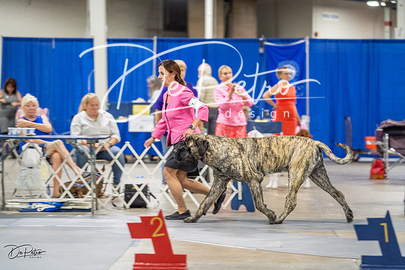 20230825-DSC03628