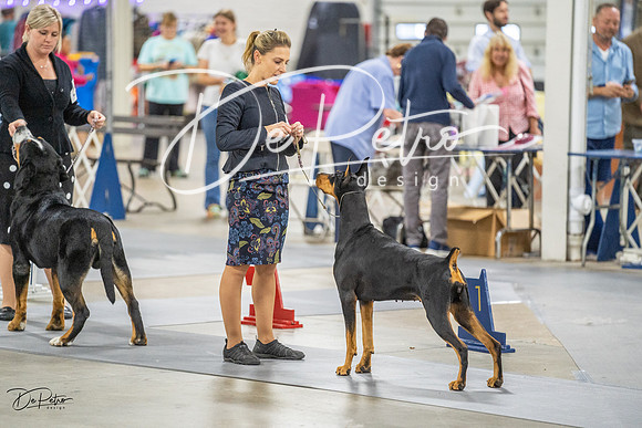 20230825-DSC03646