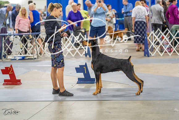 20230825-DSC03648
