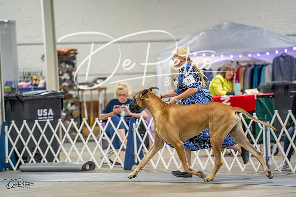 20230825-DSC02985