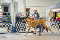 20230825-DSC02988