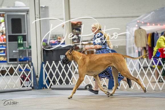 20230825-DSC02988