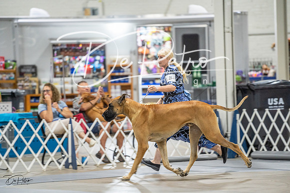 20230825-DSC02994
