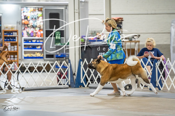 20230825-DSC03000
