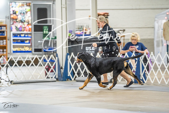 20230825-DSC03008