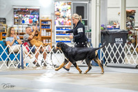 20230825-DSC03012