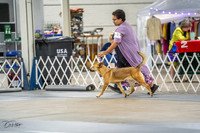 20230825-DSC03015