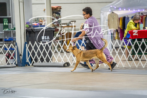 20230825-DSC03015