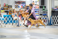 20230825-DSC03024
