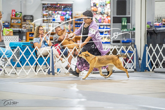 20230825-DSC03024