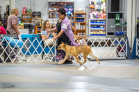 20230825-DSC03026