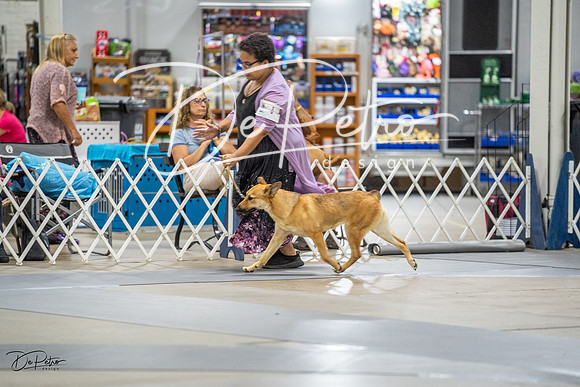 20230825-DSC03026