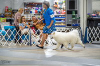 20230825-DSC03033