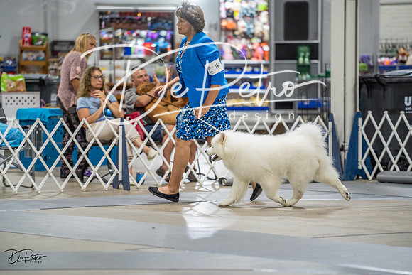 20230825-DSC03033