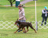 20250628-DSC07236