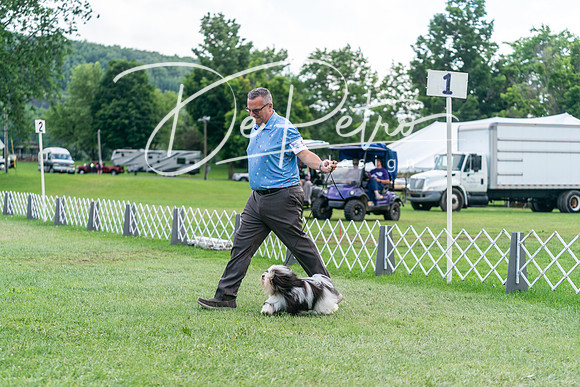 20240630-DSC05541